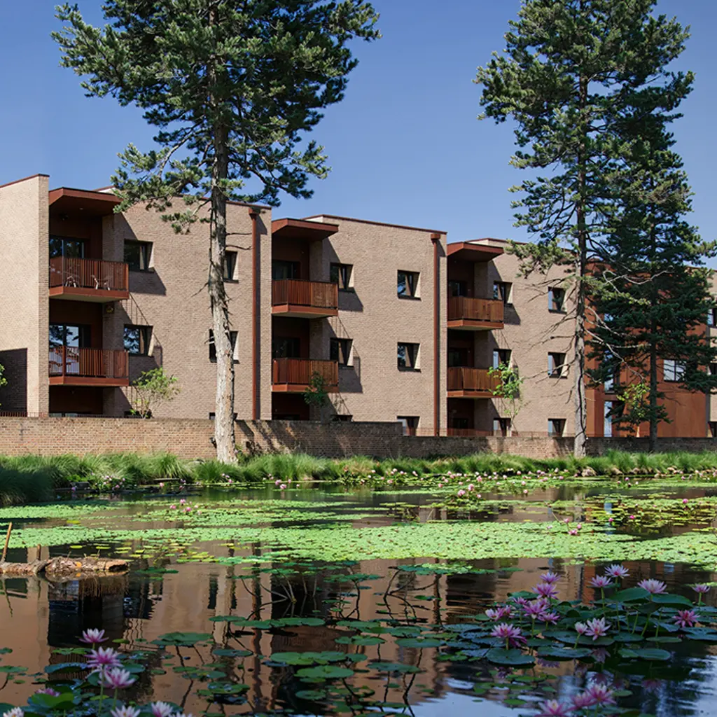 Three-story apartment buildings with balconies, designed by an Essex architect, stand behind a pond with lily pads and flowers, surrounded by tall pine trees under a clear blue sky.